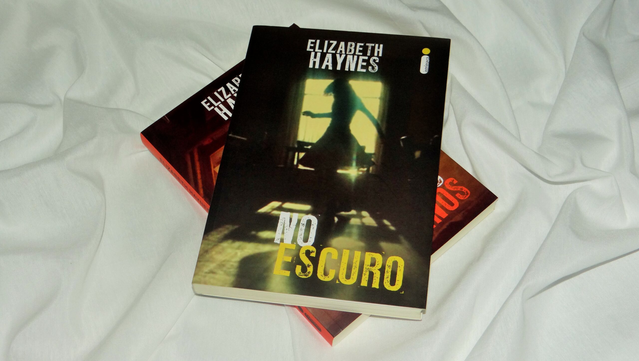 Livro: “No Escuro” de Elizabeth Haynes