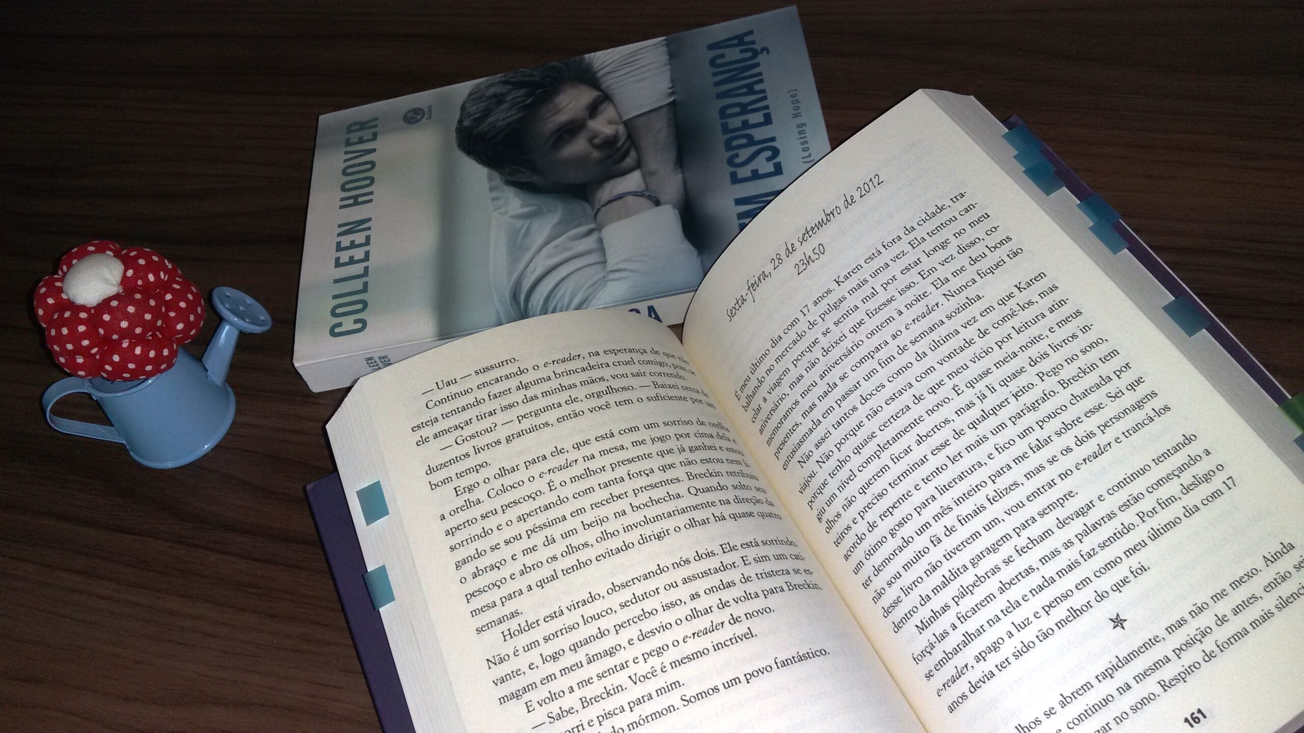 Livro: “Um Caso Perdido” de Colleen Hoover