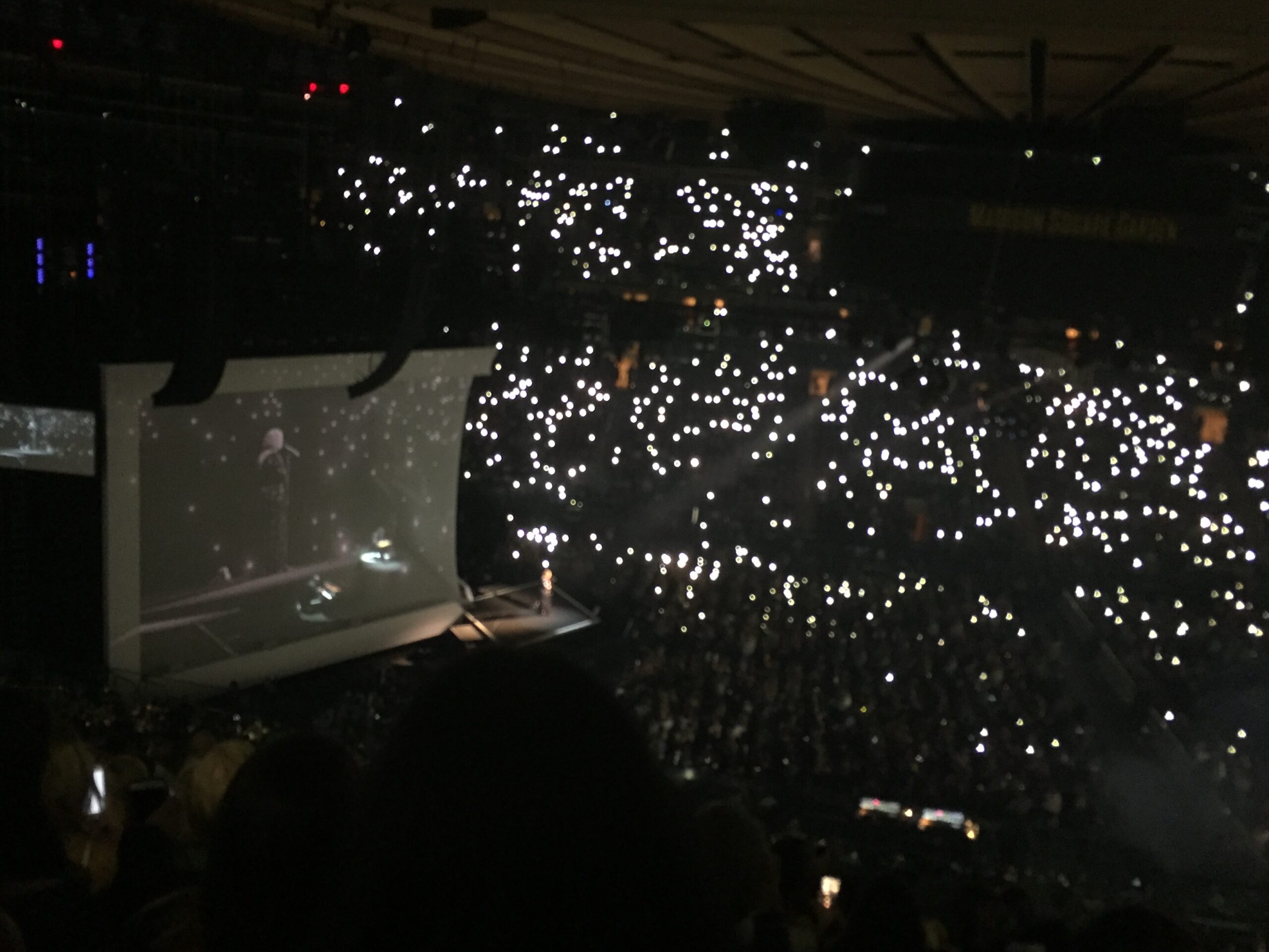 Vídeo: Adele interrompe show em NY para procurar fã na plateia