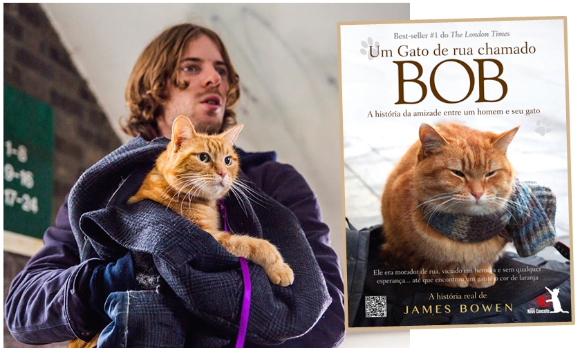  “Um Gato de Rua Chamado Bob” ganha novo trailer emocionante