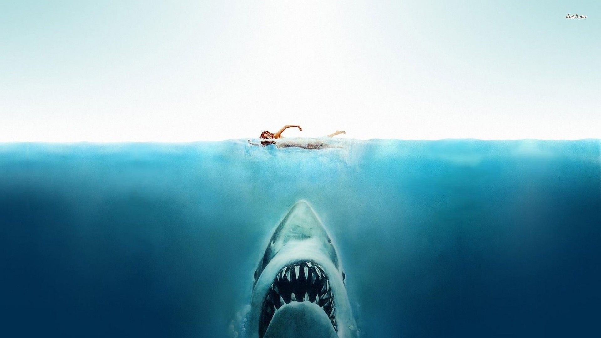 Jaws, A Franquia de Terror de Spielberg: