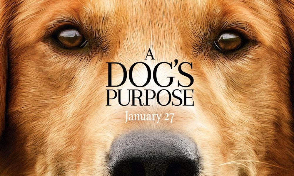  A Dog’s Purpose: Quatro Vidas de Um Cachorro