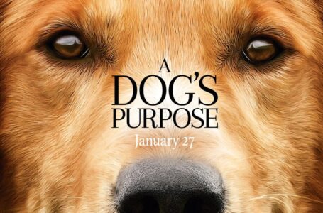 A Dog’s Purpose: Quatro Vidas de Um Cachorro