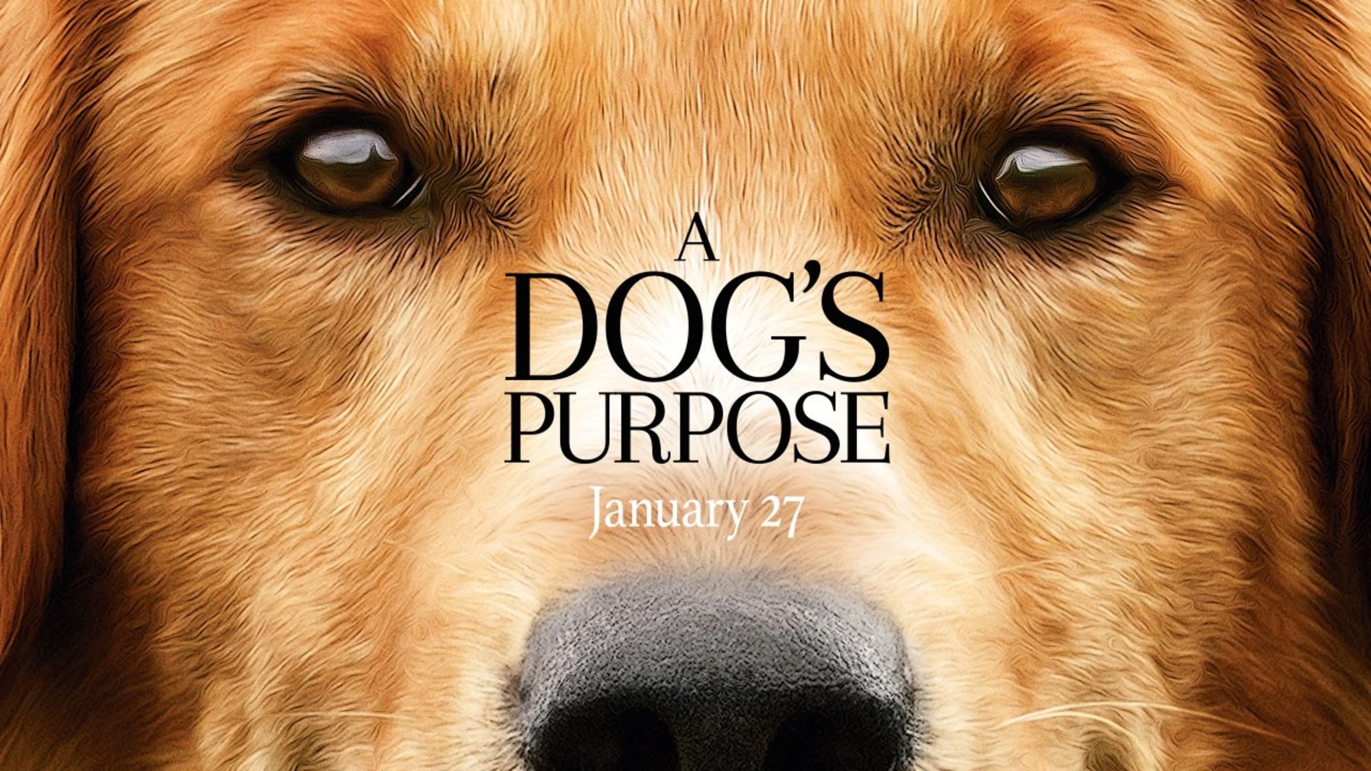 A Dog’s Purpose: Quatro Vidas de Um Cachorro