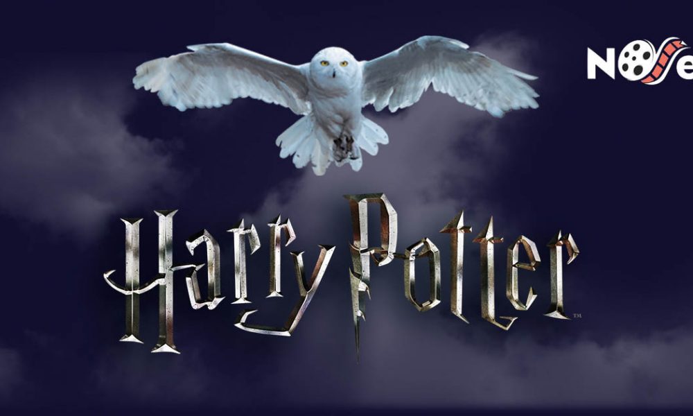  Loja online com produtos da franquia Harry Potter é sucesso total.