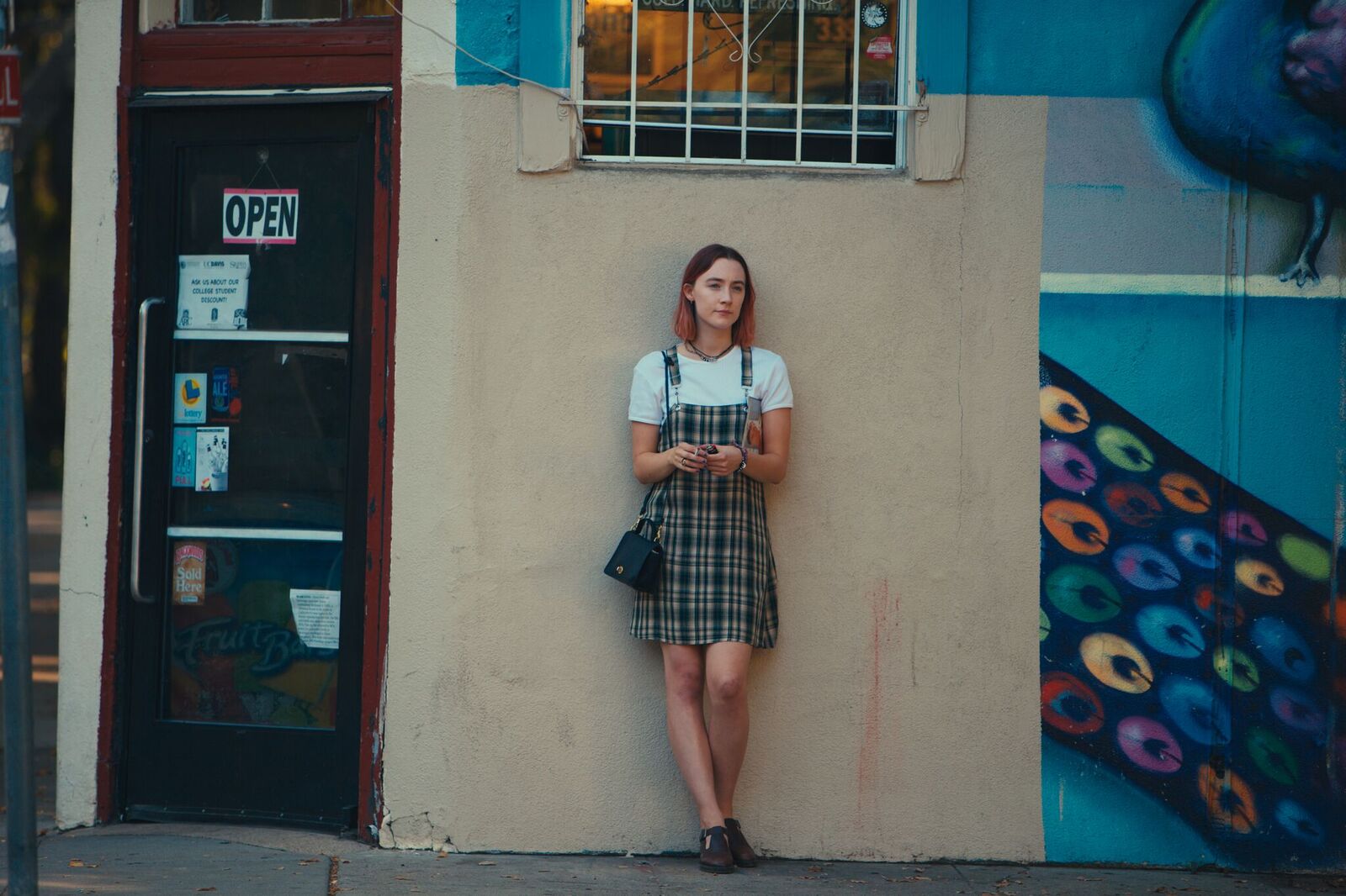 Crítica: Lady Bird – A Hora de Voar é o ordinário tratado com imenso carinho.