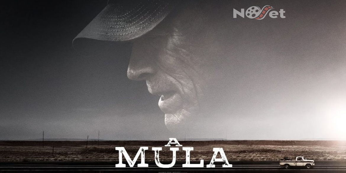 A Mula: novo filme de Clint Eastwood mostra que um ótimo diretor faz a diferença.