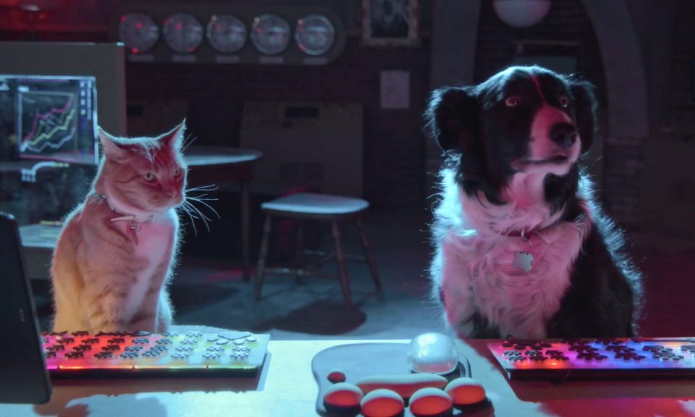  Como Cães e Gatos 3: Peludos Unidos! ganha trailer e pôster oficial