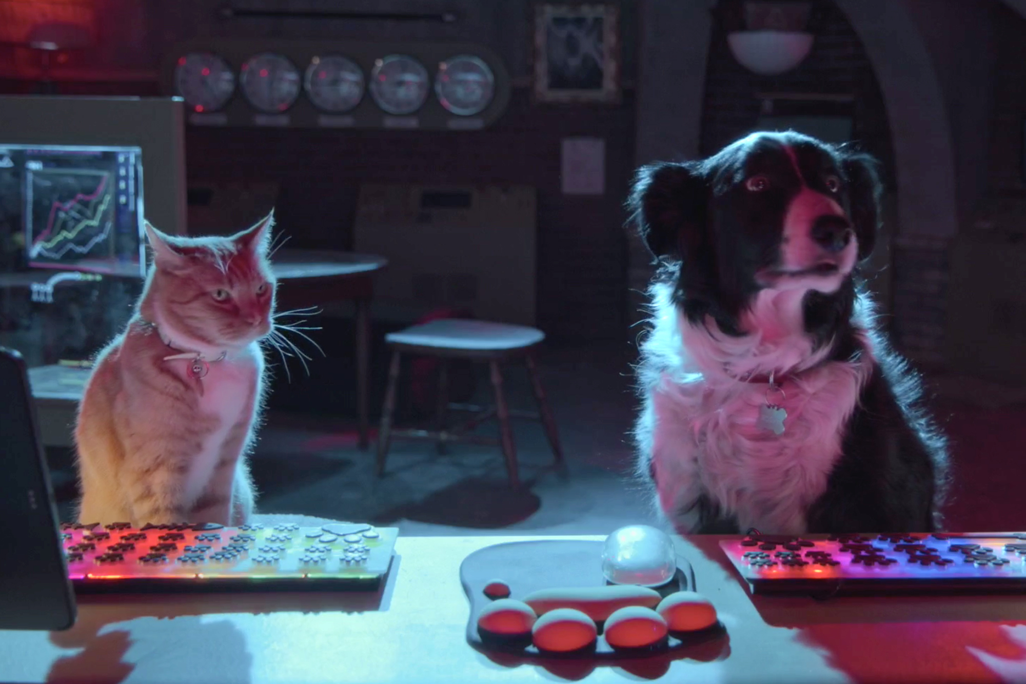 Como Cães e Gatos 3: Peludos Unidos! ganha trailer e pôster oficial