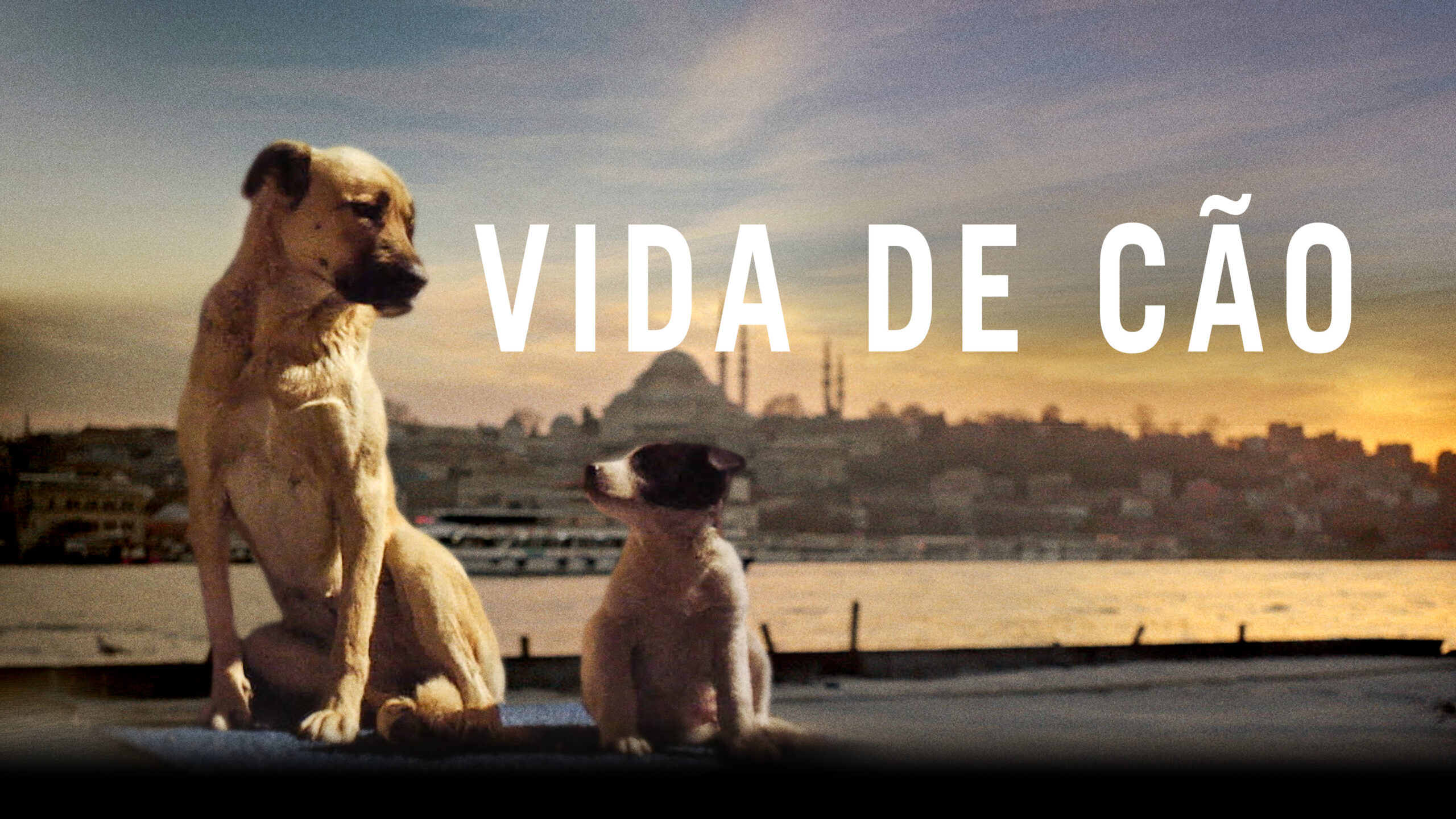 Crítica: ‘Vida de Cão’