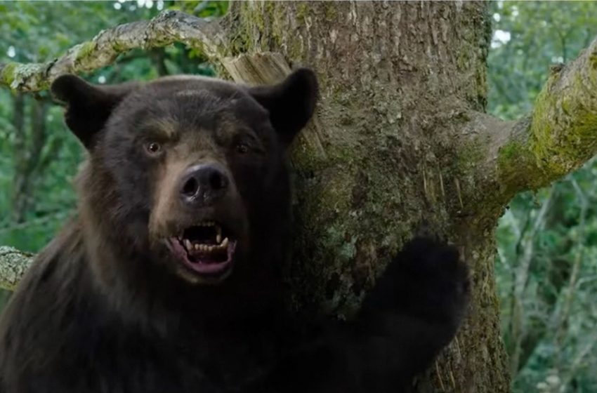  O Urso Do Pó Branco “é uma comédia dentro de um filme de terror”, afirma diretora Elisabeth Banks