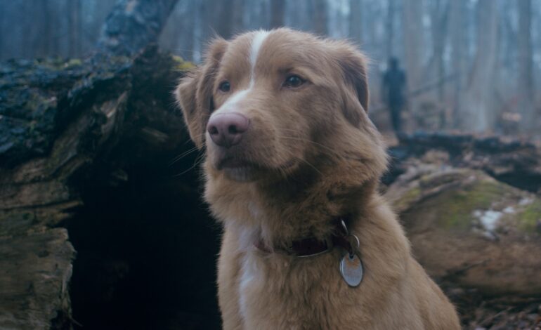 Crítica – Bom Menino